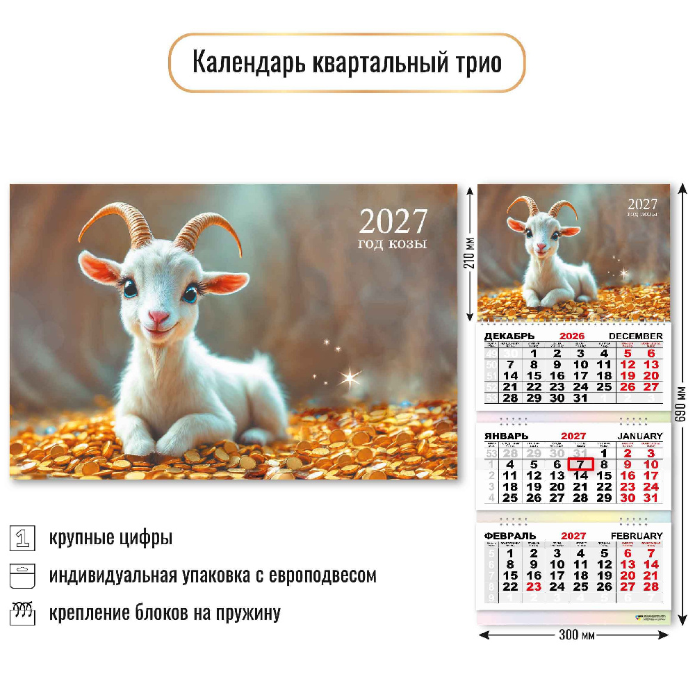 22062026100162