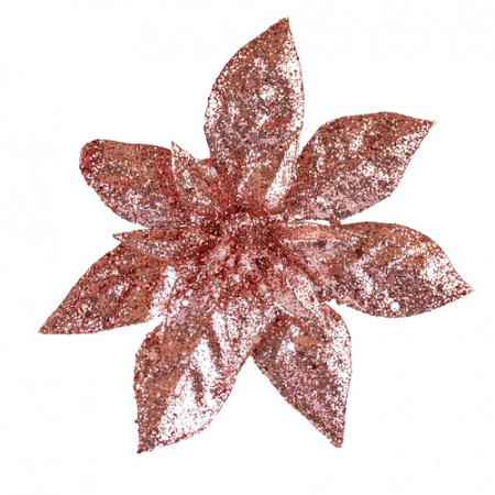 e0526369-91bb-11ef-910f-74563c62dd97_2b003a99-928b-11ef-910f-74563c62dd97