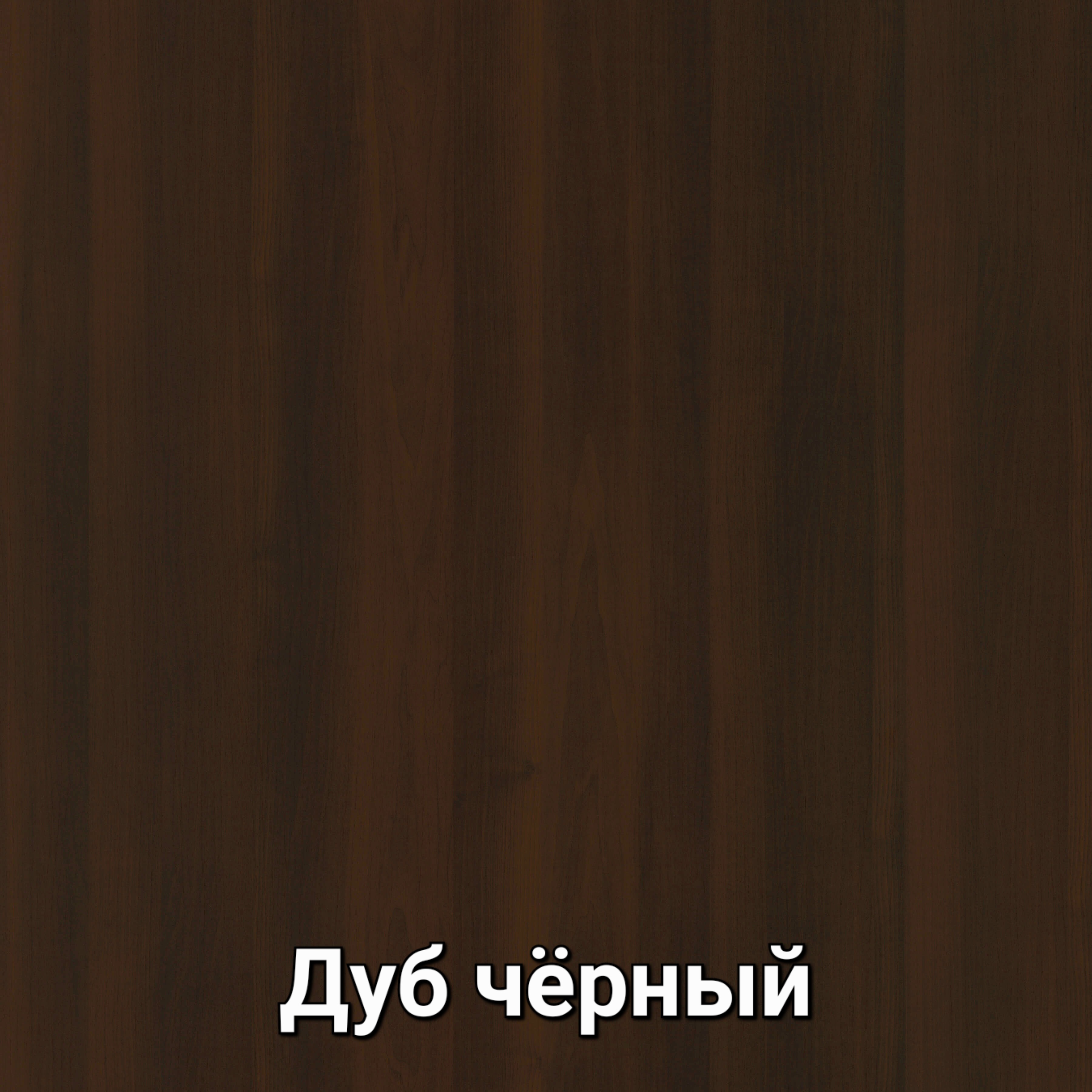 1_дуб черный