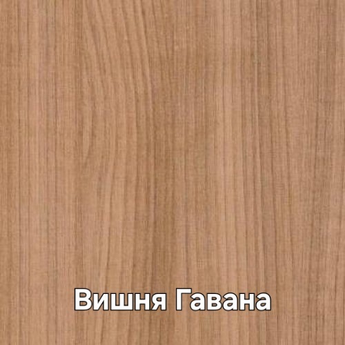1_вишня гавана